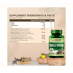 Himalayan Organics Male Vigor Vegetarian Tablet 60