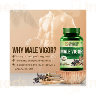 Himalayan Organics Male Vigor Vegetarian Tablet 60