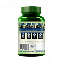 Himalayan Organics L Carnitine 2000mg Vegetarian Tablet 120