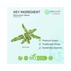 Merlion Naturals Bhumi Amla Tablet 120