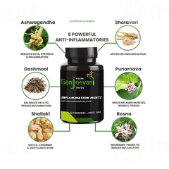 Jeevan Sanjeevani Inflammation Mukti Tablet 60