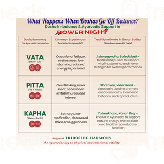 Dhanwantri Pharmaceutical Power Night Tablet 40