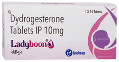 Ladyboon Tablet 14
