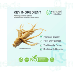 Merlion Naturals Ashwagandha Tablet 120