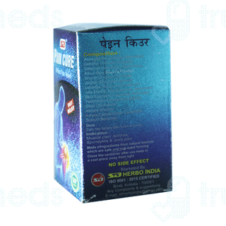 Sb Pain Cure Tablet 60