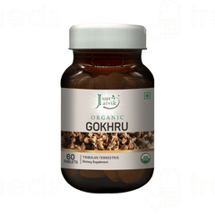 Just Jaivik Organic Gokhru Tablet 60