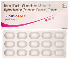 Sugaflo Gm 2 Tablet 15