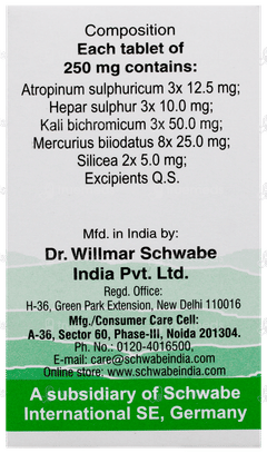 Dr Willmar Schwabe Alpha Tons Tablet 20gm