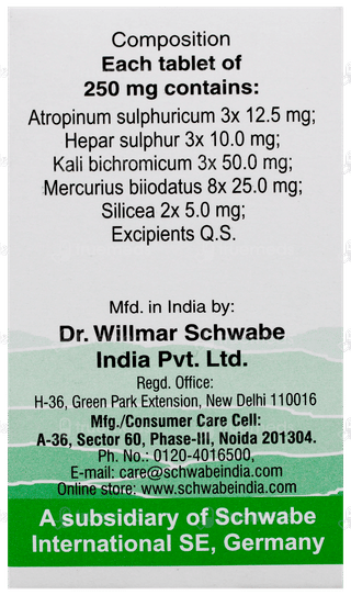 Dr Willmar Schwabe Alpha Tons Tablet 20gm