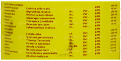 Vyas Divya Rasayan Tablet 100
