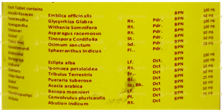 Vyas Divya Rasayan Tablet 100