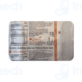 Megabery Tablet 10