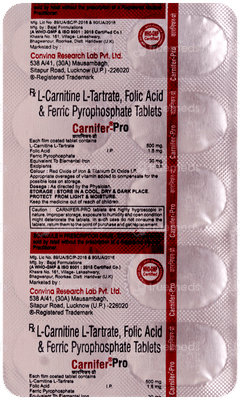 Carnifer Pro Tablet 10