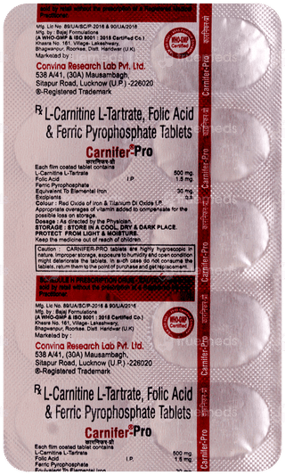 Carnifer Pro Tablet 10