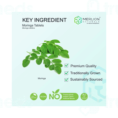 Merlion Naturals Moringa Tablet 120
