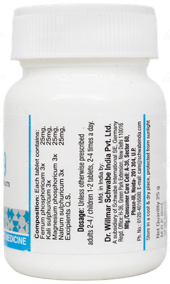 Dr Willmar Schwabe Bio Combination Bc 19 Tablet 25Gm