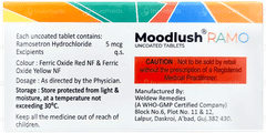 Moodlush Ramo Tablet 10