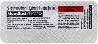 Moodlush Ramo Tablet 10