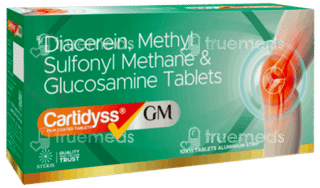 Cartidyss GM Tablet 15