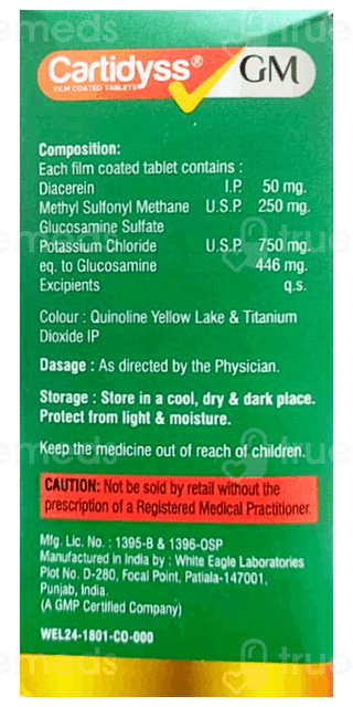 Cartidyss GM Tablet 15