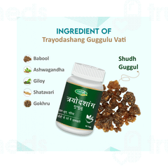 Swadeshi Trayodshang Guggulu Tablet 60