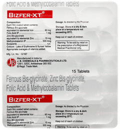Bizfer Xt Tablet 15