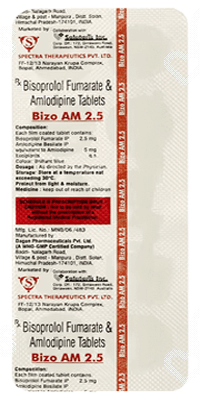 Bizo Am 2.5 Tablet 10