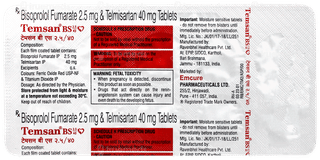 Temsan Bs 2.5/40 Tablet 10
