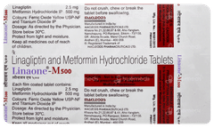 Linaone M500 Tablet 10 Linaone M500 Tablet 10