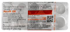 Mycofit 250 Tablet 10