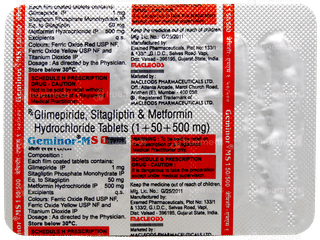 Geminor Ms 1 50/500 Tablet 10