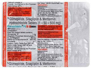 Geminor Ms 1 50/500 Tablet 10