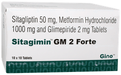 Sitagimin GM 2 Forte Tablet 10