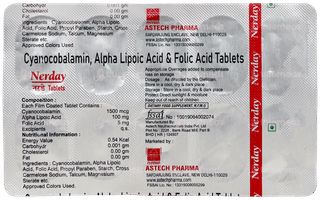 Nerday Tablet 10