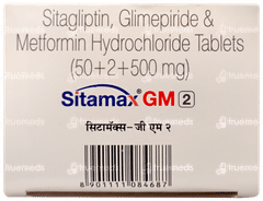Sitamax GM 2 Tablet 10