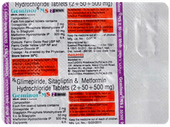 Geminor Ms 2 50/500 Tablet 10