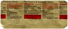 Gnor Tz Tablet 6