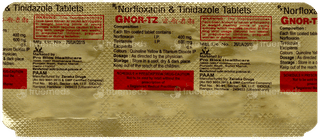 Gnor Tz Tablet 6