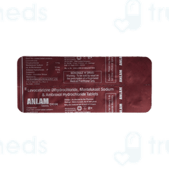 Anlam Tablet 10