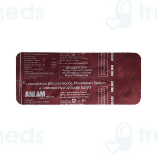 Anlam Tablet 10