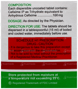Zifi 100 Dt Tablet 10