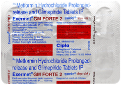 Exermet Gm Forte 2 Tablet 10 Exermet Gm Forte 2 Tablet 10