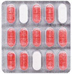 Seizmet G3 Forte Tablet 15 Seizmet G3 Forte Tablet 15