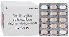 Gemer V 2 Tablet 15