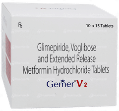 Gemer V 2 Tablet 15