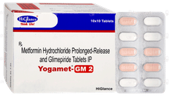 Yogamet GM 2 Tablet 10
