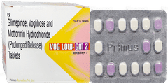 Vog Low GM 2 Tablet 15