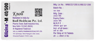 Glizina M 40/500 Tablet 10