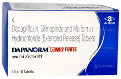 Dapanorm GM 2 Forte Tablet 10