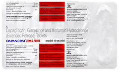 Dapanorm GM 2 Forte Tablet 10